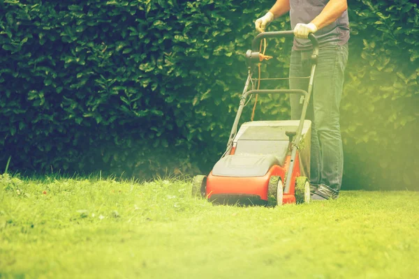 Cortacésped Césped Equipo Siega Jardinero Cuidado Trabajo Herramienta —  Fotos de Stock