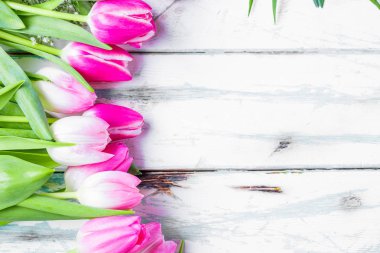  Paskalya yumurtaları ve lale Alman metin mutlu Paskalya ile ahşap plakalar üzerinde