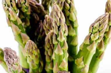 Kuşkonmaz. Ham kuşkonmaz. Taze Asparagus.Green kuşkonmaz.