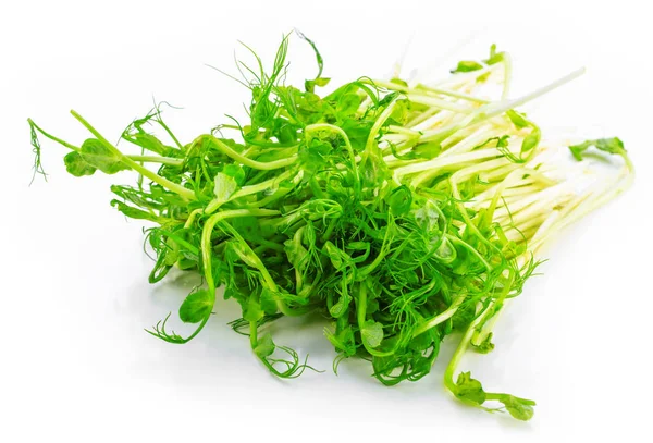 Alfalfa Sprouts Kai Wah Rei White Background — Stock Photo, Image