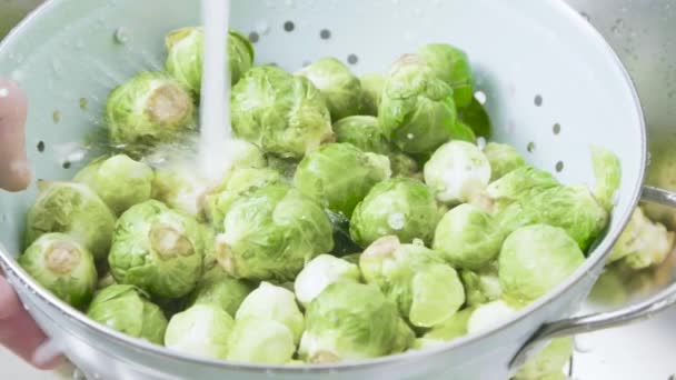 Male Hands Washing Fresh Brussels Sprouts Colander Close View — Stock Video