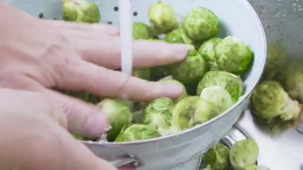 Männliche Hände Waschen Frische Rosenkohl Sieb Nahaufnahme — Stockvideo