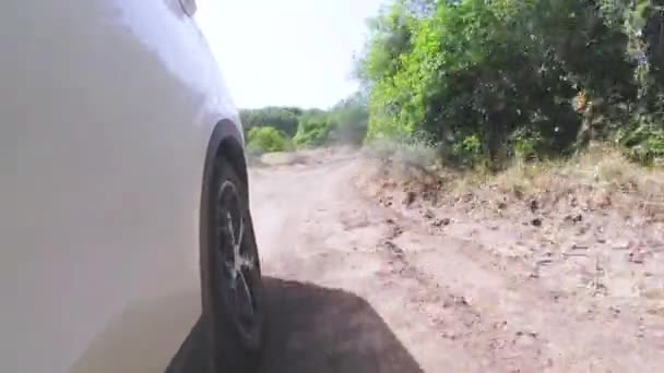 Pov Λευκό Αυτοκίνητο Οδηγώντας Αγροτικό Χωματόδρομο Την Ηλιόλουστη Μέρα — Αρχείο Βίντεο