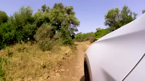 Pov Voiture Blanche Conduisant Travers Route Terre Rurale Journée Ensoleillée — Video