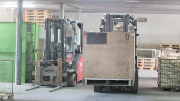 Warehouse Man Worker Forklift — Stock Video