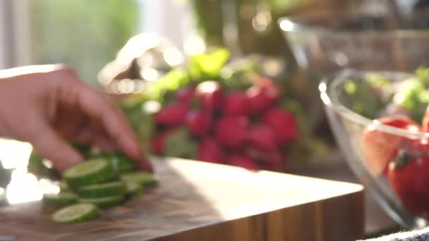 サラダの新鮮なキュウリを切断女性の手 — ストック動画