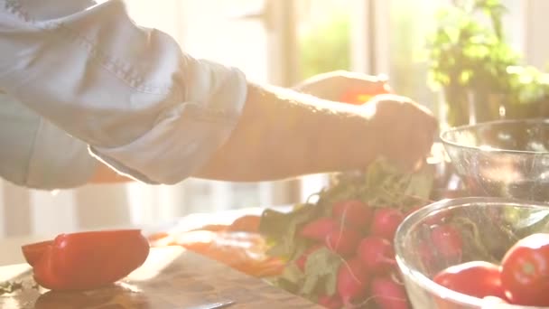 Nahaufnahme Weiblicher Hände Bei Der Zubereitung Von Frischem Paprika Für — Stockvideo