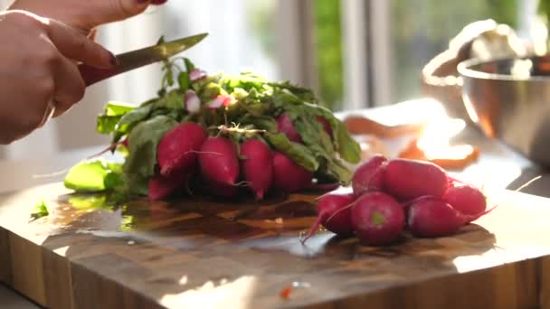 Frauenhände Nehmen Frische Radieschen Für Salat — Stockvideo