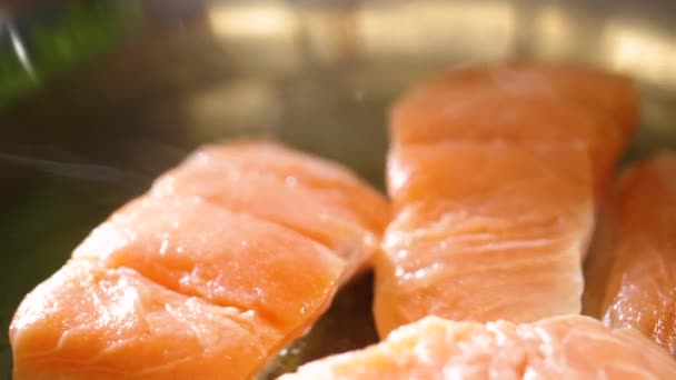 煎锅上新鲜的三文鱼 — 图库视频影像
