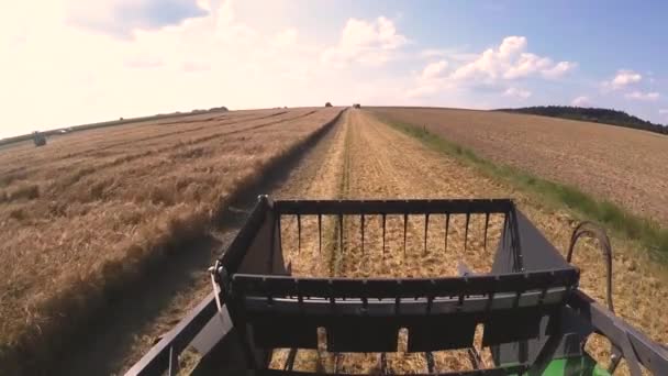 Zemědělský Stroj Sklizeň Obilnin Polích — Stock video