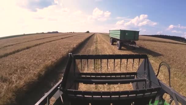 Tarım Makinesi Tarım Tarlasında Tahıl Hasat Etmek Için — Stok video