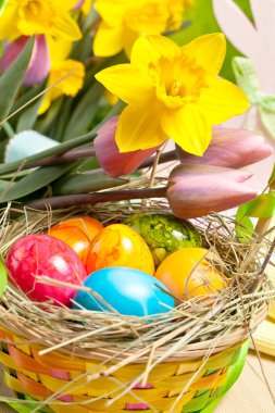 renkli Paskalya yumurtaları hasır sepet ve Pembe lale güzel sarı nergis yakından görmek