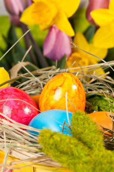 крупный план зеленые уши пасхального кролика, красочные окрашенные яйца в плетеной корзине и красивые желтые нарциссы с розовыми тюльпанами
