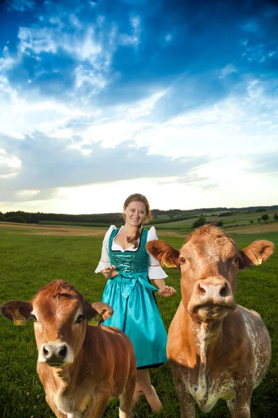 Atractiva Joven Mujer Pie Hierba Cerca Vacas Marrones Sonriendo Cámara — Foto de Stock
