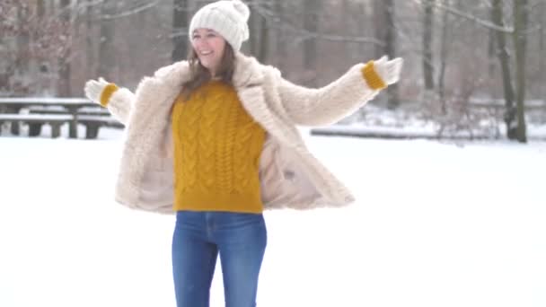 美丽快乐的年轻女子在冬季公园的乐趣 — 图库视频影像