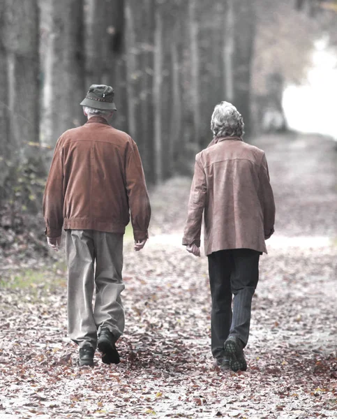 Pasangan Lansia Berjalan Taman Pada Hari Musim Gugur — Stok Foto