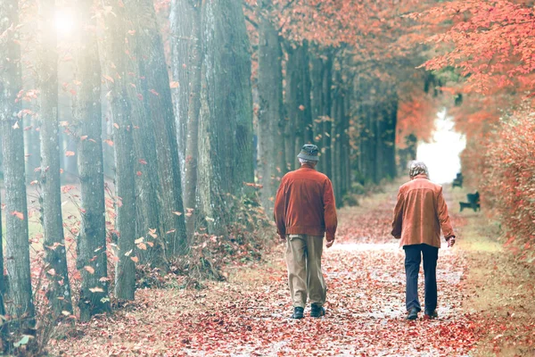 Sonbahar Gününde Park Yürüyordunuz Yaşlı Çift — Stok fotoğraf