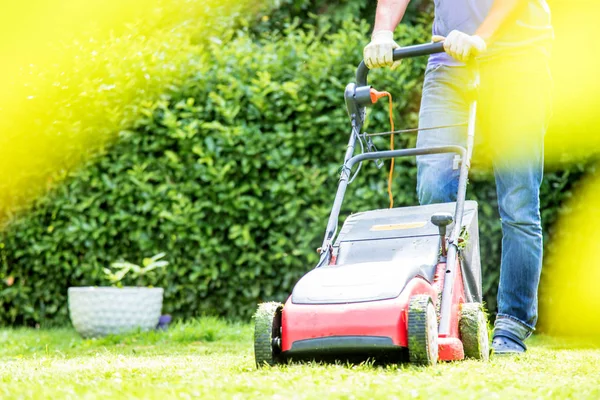 Sommar Och Vår Säsong Man Klipper Gräsmattan Trädgården Soliga — Stockfoto