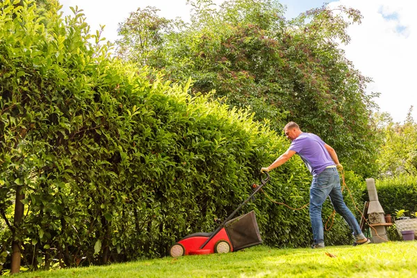 Temporada Verano Primavera Hombre Cortando Césped Jardín Durante Día Soleado —  Fotos de Stock