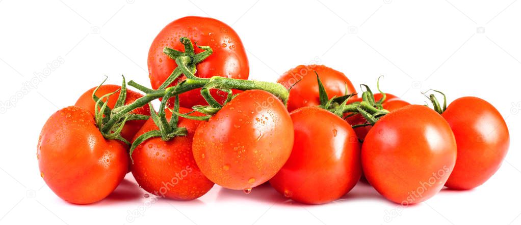 fresh ripe tomatoes on white background, close up 
