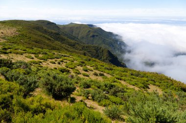 Dağlı dramatik bulutlar ve yeşil bitki örtüsü