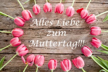 Ahşap arka plan, kenarlık üstten görünüm, çerçeve üzerinde güzel Pembe Lale. Güzel tebrik kartı laleler ve mutlu gün metin içinde Alman anneler