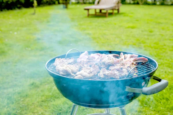 Close View Delicious Meat Cooking Charcoal Grill Green Grass — Stock Photo, Image