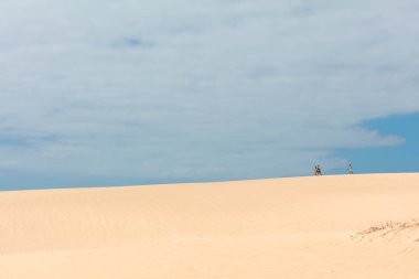 Corralejo yakınlarındaki kum tepelerinde dalgalanmalar ve sahilde dinlenen insanlar, Fuerteventura, Kanarya Adaları, İspanya