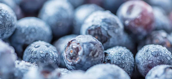 Mirtilli Freschi Biologici Crudi Con Gocce Acqua — Foto Stock