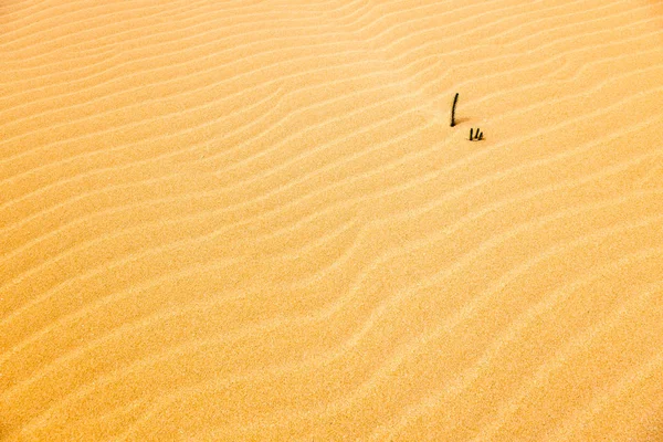 Full Längd Utsikt Över Vackra Krusade Sand Bakgrund — Stockfoto