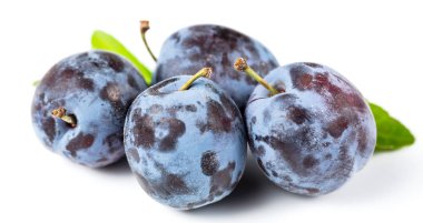 Taze yaprak yeşil rustik tablo hasır sepet ve hlaf erik erik yığını.