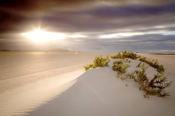 Vackert Landskap Med Sanddyner Och Molnig Himmel Corralejo Natural Park — Stockfoto
