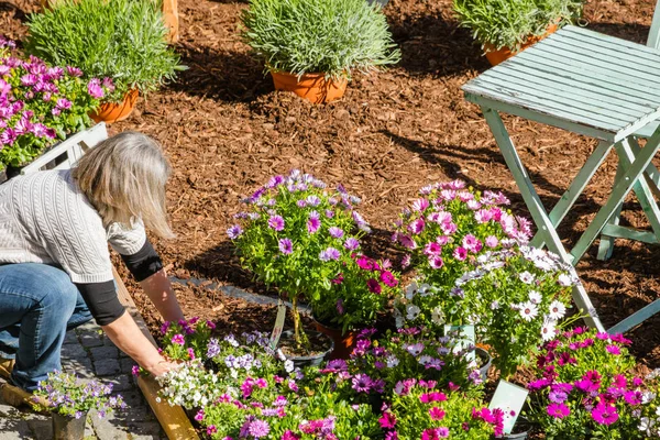 Colpo Ritagliato Una Donna Mezza Età Piantare Fiori Giardino — Foto Stock