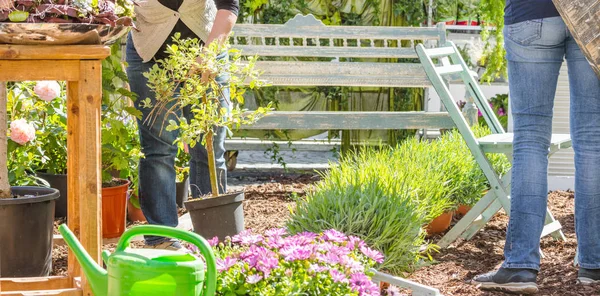 Жіночі Флористи Або Садівники Працюють Квітковому Магазині Або Розплідниках — стокове фото