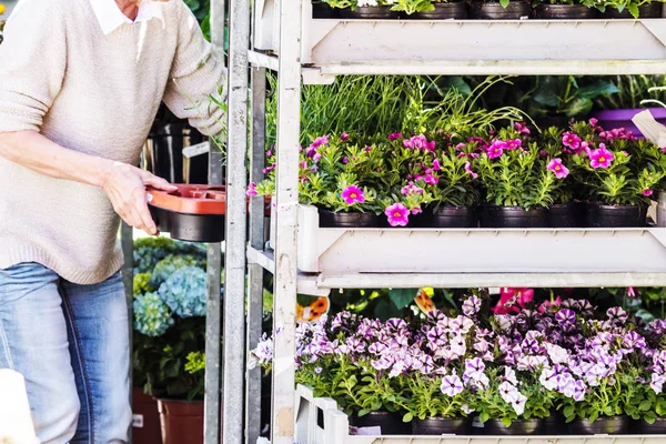 Fiorista Giardiniere Donna Che Lavora Negozio Fiori Vivaio Colpo Ritagliato — Foto Stock