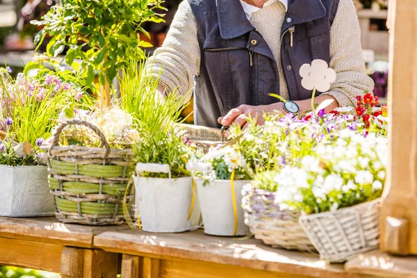 Θηλυκό Ανθοκόμο Εργασία Ανθοπωλείο Φυτώριο Περικοπεί Shot Κηπουρός — Φωτογραφία Αρχείου