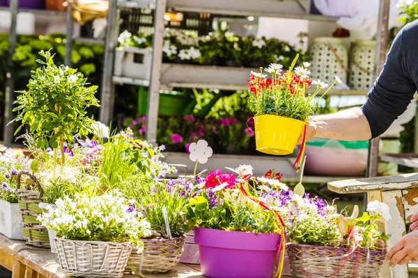 Fiorista Giardiniere Donna Che Lavora Negozio Fiori Vivaio Colpo Ritagliato — Foto Stock