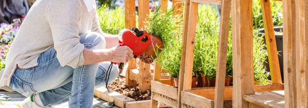 Fiorista Giardiniere Donna Che Lavora Negozio Fiori Vivaio Colpo Ritagliato — Foto Stock