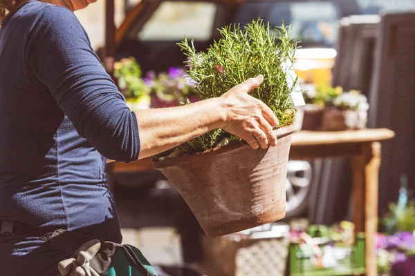 Fleuriste Jardinière Travaillant Dans Magasin Fleurs Une Pépinière Plan Culture — Photo