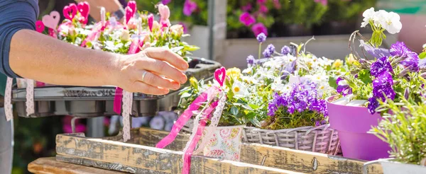 Fleuriste Jardinière Travaillant Dans Magasin Fleurs Une Pépinière Plan Culture — Photo