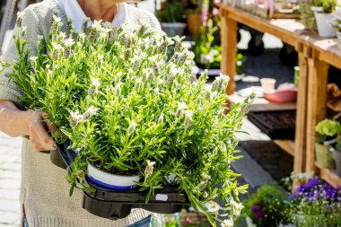 Çiçekçide çalışan kadın çiçekçinin kısmi görüntüsü 