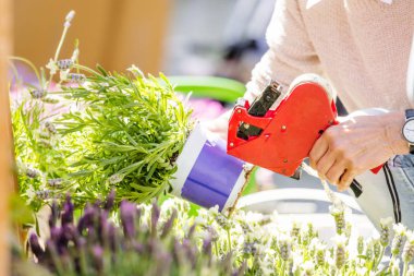 Çiçekçide çalışan kadın çiçekçinin kısmi görüntüsü 