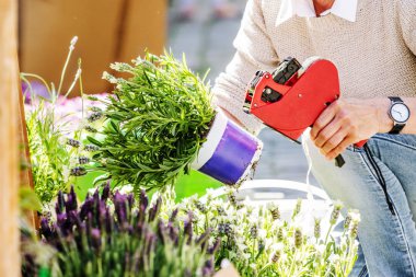 Çiçekçide çalışan kadın çiçekçinin kırpılmış fotoğrafı. 
