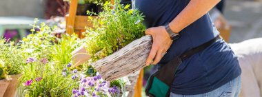 Kadın çiçekçi ya da çiçekçi dükkanı veya kreş, kırpılmış atış çalışma bahçıvan