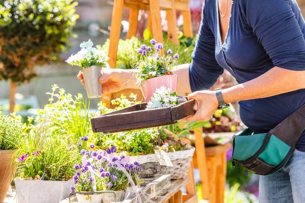 Fiorista Giardiniere Donna Che Lavora Negozio Fiori Vivaio Colpo Ritagliato — Foto Stock