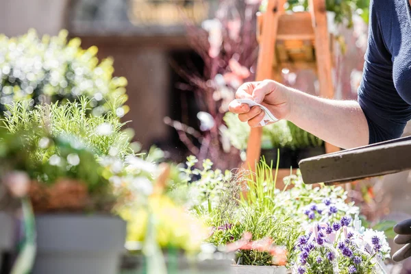 Fiorista Giardiniere Donna Che Lavora Negozio Fiori Vivaio Colpo Ritagliato — Foto Stock