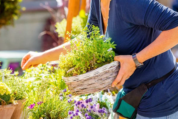 Fiorista Giardiniere Donna Che Lavora Negozio Fiori Vivaio Colpo Ritagliato — Foto Stock