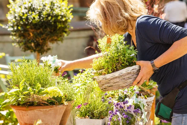 庭に花を植える中年女性の作物のショット — ストック写真