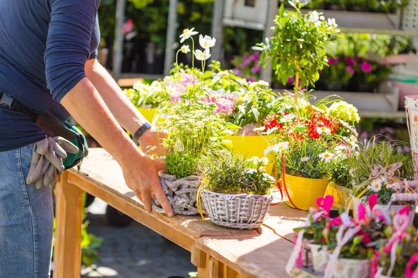 Fiorista Giardiniere Donna Che Lavora Negozio Fiori Vivaio Colpo Ritagliato — Foto Stock