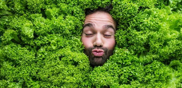 Man Salad Leaves Concept Food Industry Face Laughing Man Salad — Stock Photo, Image